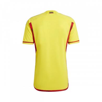 Maillot Colombie Domicile Coupe du monde 2022