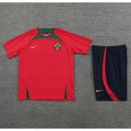 Maillot Fc Portugal d'entrainement 23/24+ Pantalon