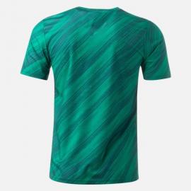 Maillot Irlande du Nord Euro Domicile 2020/2021