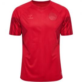 Maillot Danemark Domicile Coupe du monde 2022