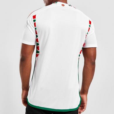 Maillot pays de Galles Extérieur Coupe du monde 2022