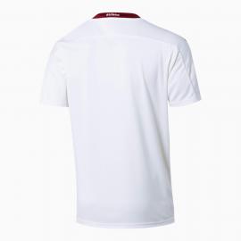 Maillot Suisse Extérieur 2020