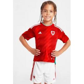 Maillot pays de Galles Domicile Coupe du monde 2022 Enfant