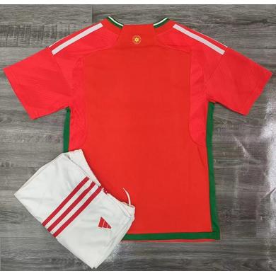 Maillot pays de Galles Domicile Coupe du monde 2022 Enfant