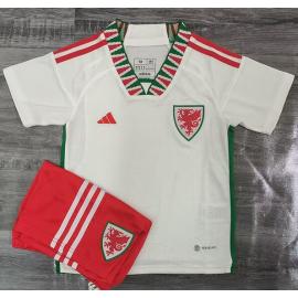 Maillot pays de Galles Extérieur Coupe du monde 2022 Enfant