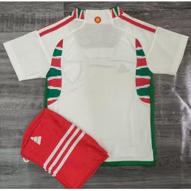 Maillot pays de Galles Extérieur Coupe du monde 2022 Enfant