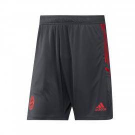 PANTALÓN CORTO FC BAYERN DE MÚNICH TRAINING 2022-2023