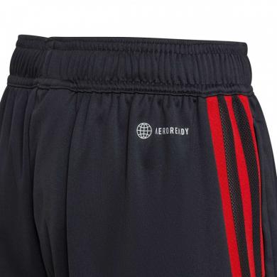 PANTALÓN CORTO FC BAYERN DE MÚNICH TRAINING 2022-2023 Enfant