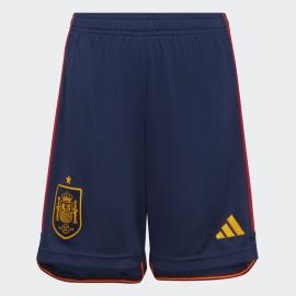 Maillot Espagne Domicile Coupe du monde 2022