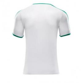 Maillot Domicile Sénégal 2018